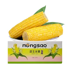 Non Gmo Popping Corn Good yellow sweet corn with good price