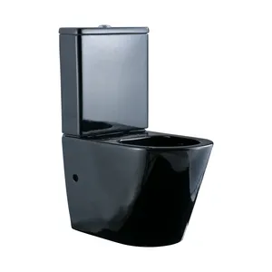 Hochwertige moderne mattschwarze Toilette Badezimmer Keramik Toilette Sanitär-Toilette