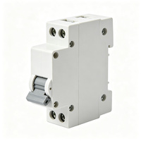 Disjoncteur miniature 1P 10A Courbe B 230V 6kA Monophasé sur rail DIN pour circuit d'éclairage