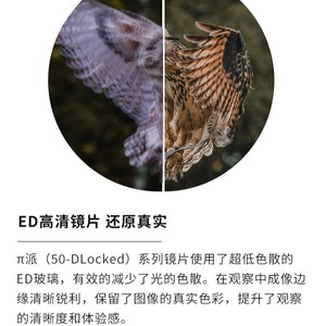 Shuntu Binoculars 10x50 ED Mg Alloy High Definition Outdoor Hunting Birdwatching - Product Image 5