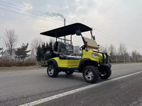 Chariot de golf électrique LSV 2 places en gros pour basse vitesse