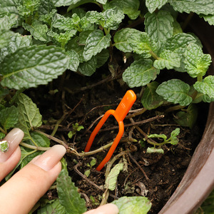 Prensa para plantas de plástico con 2 puntas, color naranja, 6.5 cm, para entrenamiento de plantas de jardín, enraizamiento y fijación de plántulas - Product Image 1