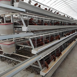 Fournisseur en gros en Chine, équipement d'élevage de volaille, élevage commercial d'un type d'équipement, cage à poulets pour animaux à 4 couches - Product Image 6