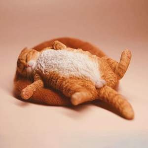 Statue de chat personnalisée, sculpture, décoration d'intérieur, ornement, figurine de chaton calico, figurine de chaton, figurine de chat en résine de simulation, objet de collection - Product Image 5