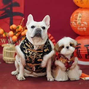 DDPET Vêtements de Nouvel An pour petits chiens, Hiver, Gilet en polaire chenille écologique à grain, Style Tang chinois, Couleur unie, Motif <span class=keywords><strong>Fadou</strong></span> - Product Image 1