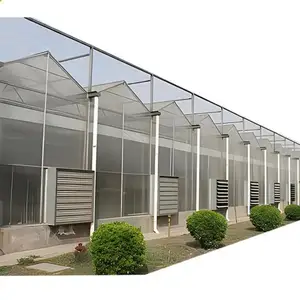 Prezzo di fabbrica zincato telaio in acciaio PC bordo verde casa per agricoltura Farm Multi Span