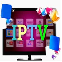 Un code 1TV1 le plus vendu au monde : essai gratuit de 24 heures, le choix des utilisateurs aux États-Unis, en Europe et en Asie