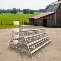 Cage à volailles carrée ondulée pour la protection de la santé des animaux, avec service de découpe, 3 niveaux, 96 oiseaux, facile à nettoyer, galvanisée