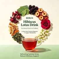 Sachets de thé OEM/ODM Borun Roselle Feuille de Lotus 150g/10g*15 – Élimine la chaleur, aide à rafraîchir en été, favorise la perte de poids, améliore la digestion, facilite le transit intestinal, abaisse la tension artérielle, brûle les graisses