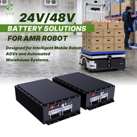 Paket Baterai Lithium Kustom untuk Robot AMR Sistem Baterai 24V 48V Baterai Daya LiFePO4 untuk Otomatisasi Gudang AGV