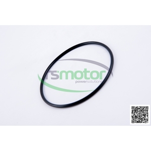 OEM O-seal MWM, producto de controladores de motor originales de la serie "MWM" - Product Image 1