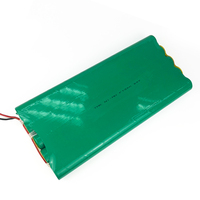 Batterie rechargeable 12V 24V 13Ah Ni-MH taille F pour lampadaire solaire hors réseau longue durée de vie-40 ~ + 70 ℃ >10 ans de durée de vie