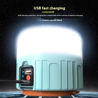 Bombilla LED de 1000 vatios, lámpara de emergencia portátil, reparación recargable por USB, luz de trabajo Solar, barbacoa, linterna Led para acampar, colgante de CC IP65