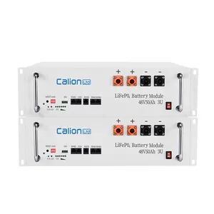 Calion 48v 100ah 200ah Rack Mount Energia Storage System Lifepo4 Bateria Recarga Servidor Bateria De Lítio