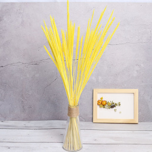 Ventes directes d'usine coloré préservé Kirin herbe fleurs réel naturel séché licorne herbe coton Setaria <span class=keywords><strong>Pumila</strong></span> nouvelle-zélande - Product Image 4