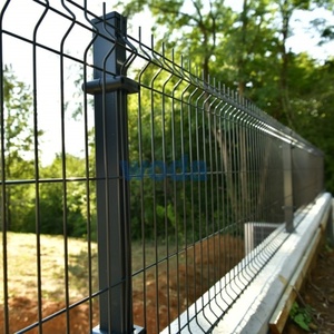 PVC tráng <span class=keywords><strong>50x100</strong></span> kim loại sắt hàn dây lưới hàng rào Thái Lan 3D cong dây lưới hàng rào tấm - Product Image 3