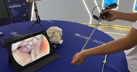 Caméra endoscopique sans fil légère 4K 380g avec source lumineuse LED intégrée pour examen ORL