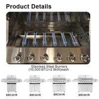 Barbecue au gaz naturel en acier inoxydable avec brûleur latéral, multifonction et design compact pour une utilisation en extérieur