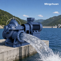 MINGCHUAN Langlebige Horizontale Geteilte Zentrifugal-Landwirtschaftswasserpumpe mit Hocheffizienzmotor für Bewässerung