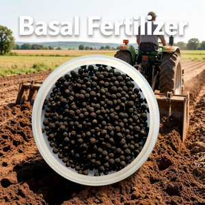 Customized Soil Conditioner in Bulk Organic Matter NPK Sulphur Humate Amino Acid <strong>Seaweed</strong> - Product Image 4