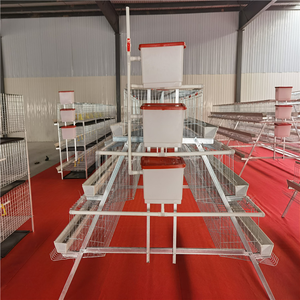 Batería de jaula comercial para pollos, equipo para <span class=keywords><strong>gallinas</strong></span> ponedoras, gallinero para 96-500 pollos - Product Image 5