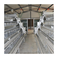 Cage en Batterie Automatique Galvanisée en Acier pour Poulets Pondeurs, Vente Chaude pour Bâtiments d'Élevage de Volaille