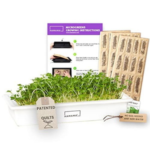 HAMAMA <span class=keywords><strong>Easy</strong></span> Setup Microgreens Growing Kit 3 Bandeja de cerámica Indoor s Mat Edredones Incluye Kale Broccoli Macetas - Product Image 1