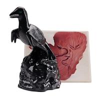 Modèle de Restauration Archaeopteryx avec Plaque de Moulage Fossile – Modèle Complet d'Évolution des Oiseaux Préhistoriques pour l'Enseignement de la Paléontologie