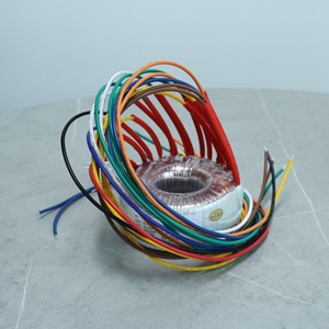Chất lượng cao hình xuyến Core 50W-5000W đầu vào 110V 120V biến áp hình xuyến cho năng lượng mới - Product Image 2