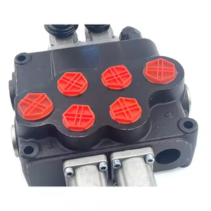 Vannes monobloc P120 du fabricant Pièces de machines de construction manuelles-Vente en gros et sur mesure disponibles - Product Image 6