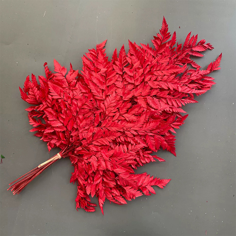 45-55cm
