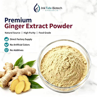 Gingerols en Gros : Extrait de Gingembre 10:1 20:1, Poudre de Zingiber Officinale pour Mélanges d'Épices, Compléments et Formulations Composées
