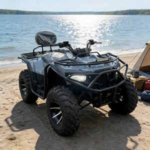 Dune Buggy d'<span class=keywords><strong>occasion</strong></span> en gros à <span class=keywords><strong>prix</strong></span> abordable, buggy 4x4 pas cher, <span class=keywords><strong>prix</strong></span> bas pour les acheteurs de seconde main - Product Image 6