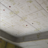 Plaques de plâtre haute résistance pour systèmes muraux et de plafonds |   Panneaux durables résistants à l'humidité Excellente isolation acoustique
