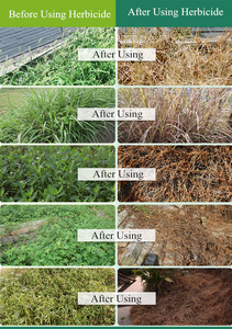 <span class=keywords><strong>Herbicida</strong></span> Diquat 10% SL de Alta Eficacia para Agricultura, Amplio Espectro, para Huertos Cítricos y Malezas Anuales - Product Image 5