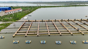 เครื่องเติมอากาศแบบใบพัด 4 ใบพัด 2 แรงม้า 1.5 กิโลวัตต์ สำหรับบ่อเลี้ยงกุ้ง/ปลา/กุ้งน้ำจืด ขายส่งจากโรงงาน - Product Image 4