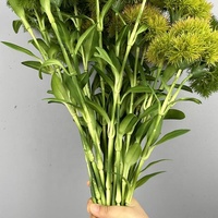 Grosir tanaman buatan plastik lunak bunga dianthus hijau untuk dekorasi rumah