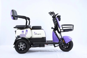 Triciclo Eléctrico de Tres Ruedas de Alta Calidad y Bajo Precio, Bicicleta Eléctrica de 3 Ruedas para Adultos, 48V 60V 800W, para Familias - Product Image 3
