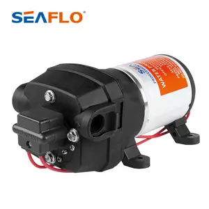 SEAFLO 12 volt 0.5 hp 10bar DC Waterpomp