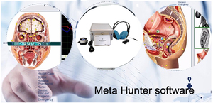 2025 Mais Recentes Dispositivos De Terapia De Biorressonância Analisador De Saúde De Corpo Inteiro 25d NLS Meta Hunter 4025 - Product Image 4