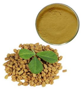 Лучшая цена, высокое качество, бесплатный образец семян пажитника/экстракт порошка, распродажа - Product Image 3