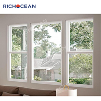 Fenêtres à double battant en aluminium noir sur mesure RICHOCEAN, double vitrage isolant en verre trempé