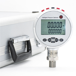 Calibrateur numérique intelligent OEM, précision 0,05 % F.S. (plage -0,1~250) MPa pour l'inspection et le contrôle des processus - Product Image 2