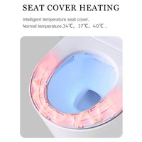NEW Release Sanitaire Bain Set One Piece Smart Wc Auto Intelligent Toilette avec Femme Bidet Chasse Automatique