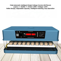 USMILEPET Incubateur d'oeufs pour animaux de compagnie Elevage d'animaux domestiques et soins des animaux Incubateurs automatiques de poulet pour œufs à couver Incubateur à usage domestique