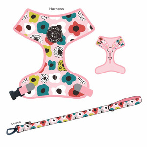 8-piece <b>pet</b> leash and dog walking leash set; <b>pet</b> supplies; dog <b>harness</b>, chest <b>harness</b>, Pomeranian leash set - Product Image 1