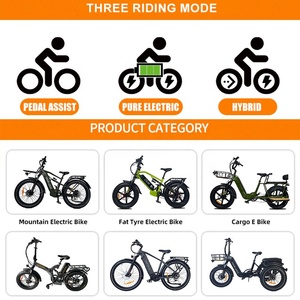 Bicicleta Eléctrica de Carreras de 20 Pulgadas con Motor de Buje TDE03Z, Alta Velocidad, 48V/60V, Doble Motor, Baterías y Neumáticos Anchos - Product Image 6