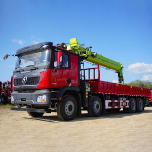 ذراع تلسكوبي مثبت بالخدمة الشاقة 8x4 ، شاحنة رافعة بضائع 25 طن - Product Image 1