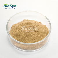 BioSyn Extrait de Chasteberry Poudre de Chasteberry 10:1 Vitex Extrait de Chasteberry