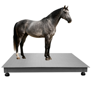 مقياس أرضي رقمي عالي الجودة ، مقياس مواشي شديد التحمل - Product Image 1